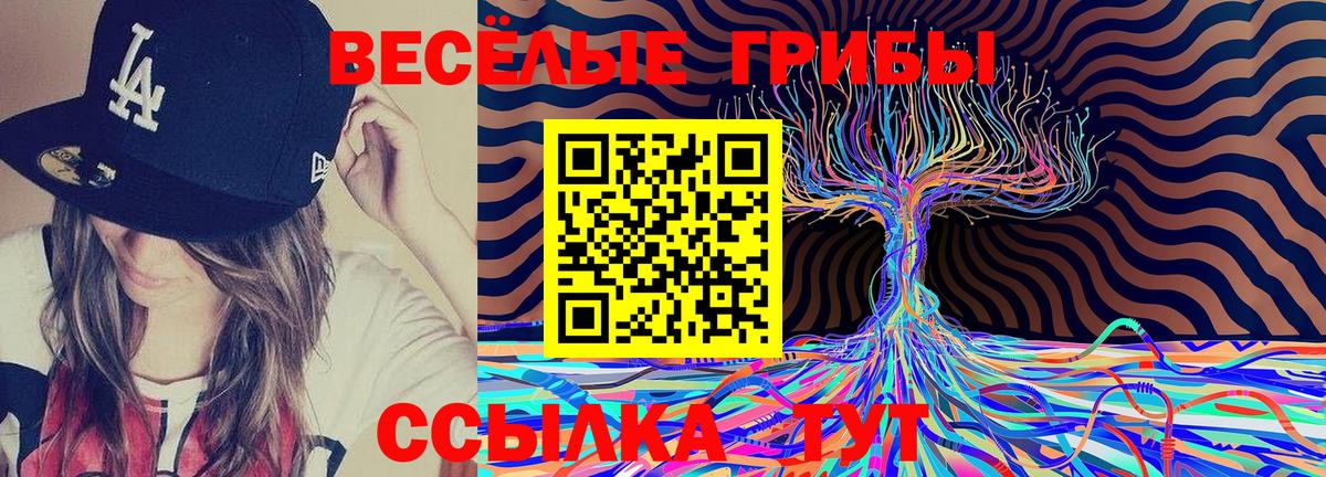 Псилоцибиновые грибы Cubensis Мурино
